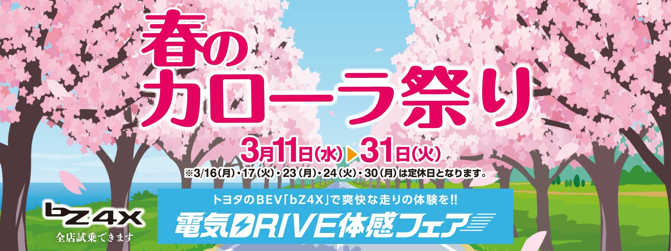 春のカローラ祭り